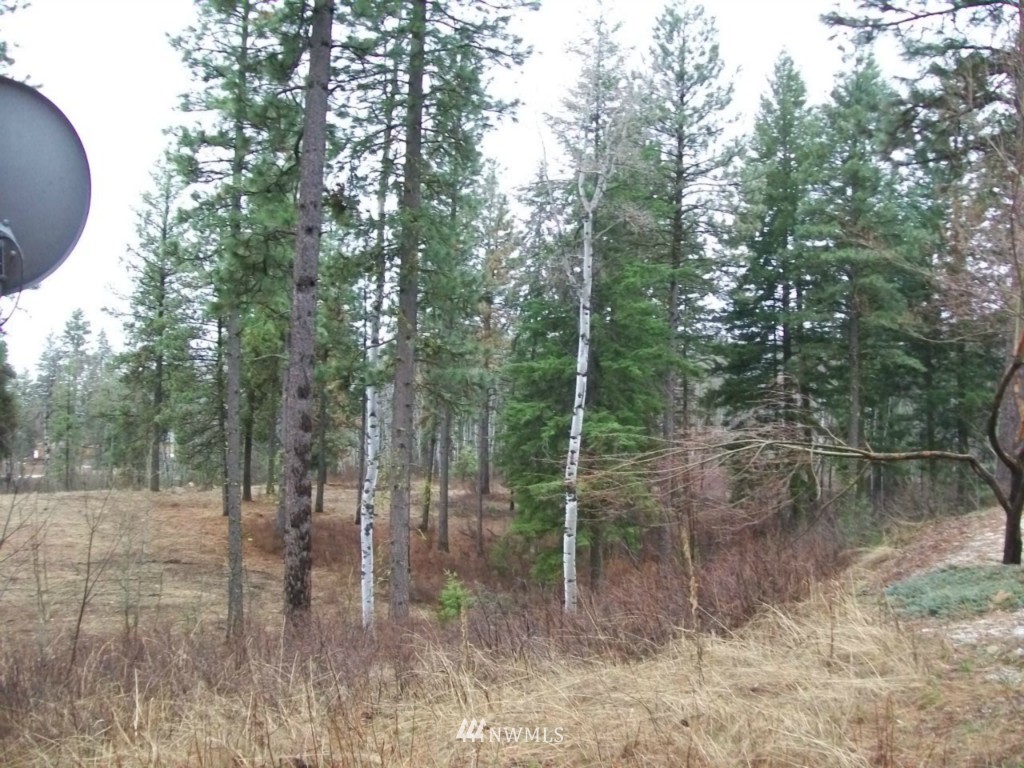95 Whiterock Road Okanogan, WA 98840 - Photo 22 of 25 Gallery Image 22