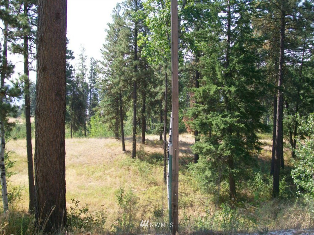 95 Whiterock Road Okanogan, WA 98840 - Photo 24 of 25 Gallery Image 24