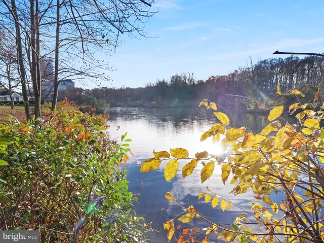a view of a lake with a mountain