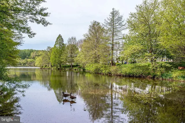 a view of a lake with outdoor seating