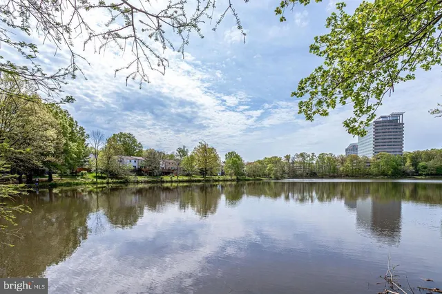 a view of a lake in between two of trees