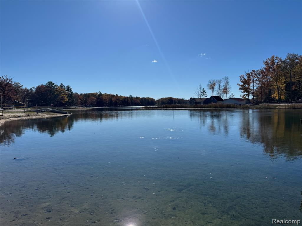 7099 Jose Lake Road South Branch, MI 48761 - Photo 8 of 81