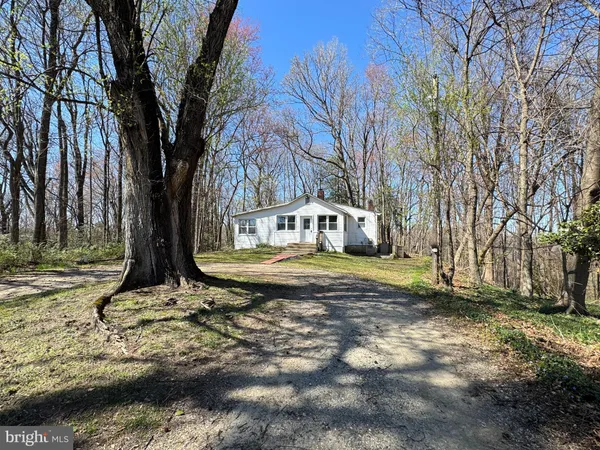 a view of a backyard with large trees