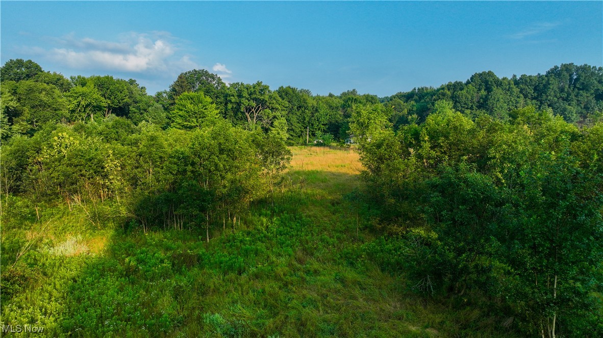 22600 Lexington Road Alliance, OH 44601 - Photo 31 of 39 Gallery Image 31