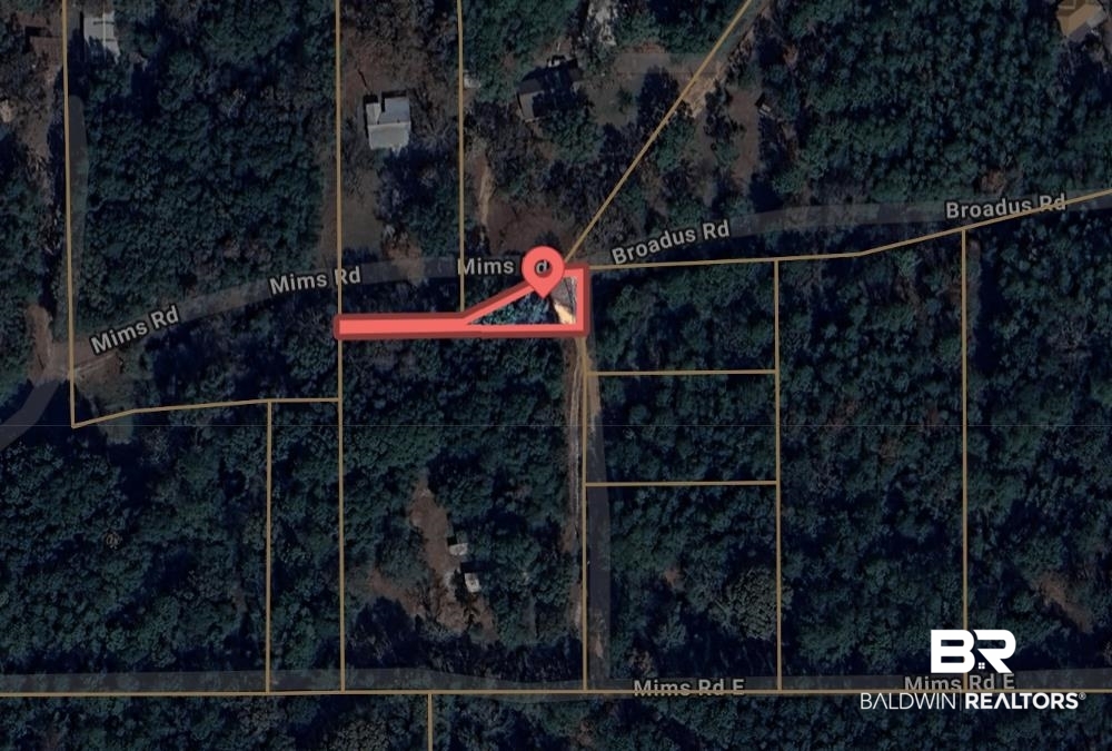 0 Mims Road Chunchula, AL 36521 - Photo 5 of 5