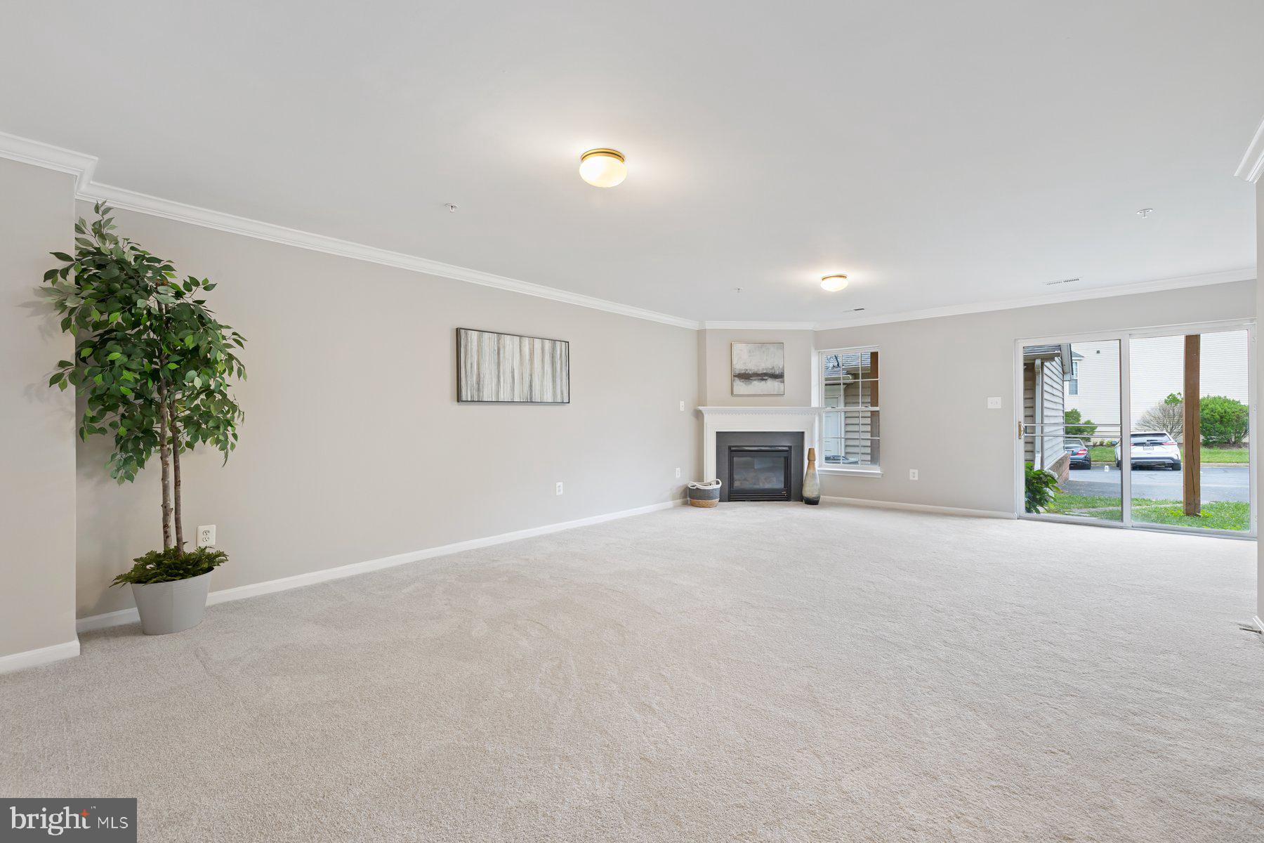 3804 Addison Woods Road Frederick, MD 21704 - Photo 36 of 45 Rec room with level walk-out