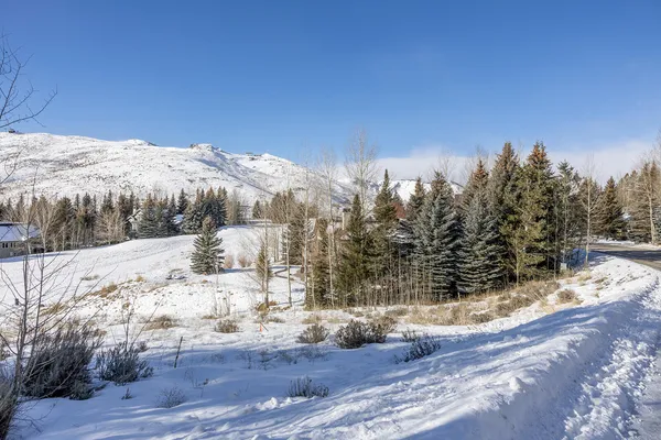 $2,195,000 | 92 Elkhorn Road, Sun Valley, ID 83353