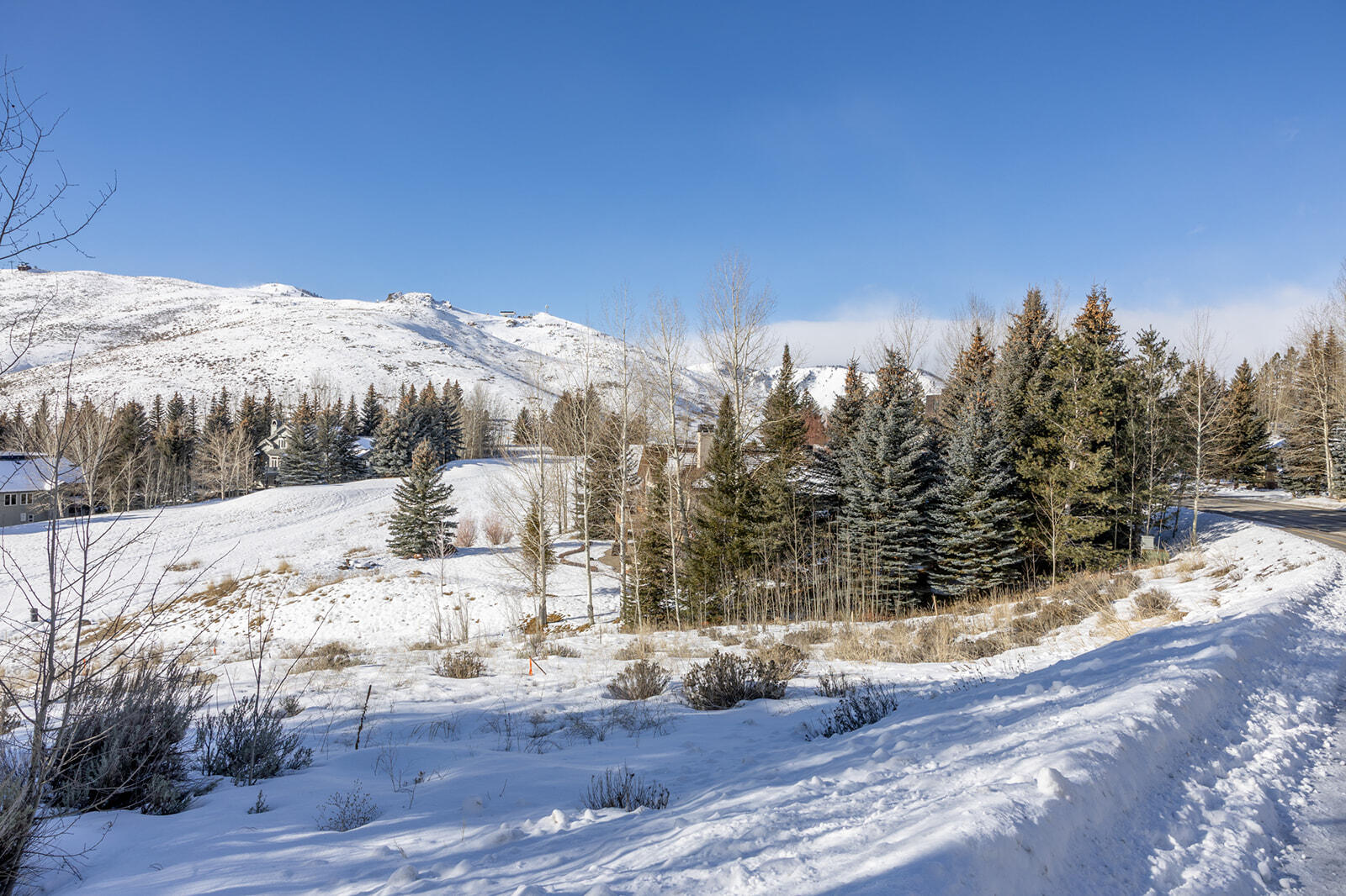 92 Elkhorn Road Sun Valley, ID 83353 - Photo 8 of 12 Looking West