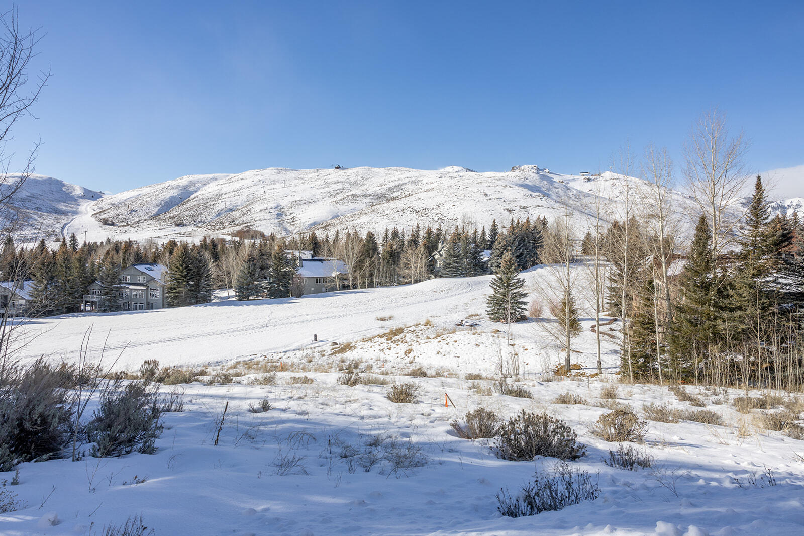 92 Elkhorn Road Sun Valley, ID 83353 - Photo 9 of 12 Boots on the ground