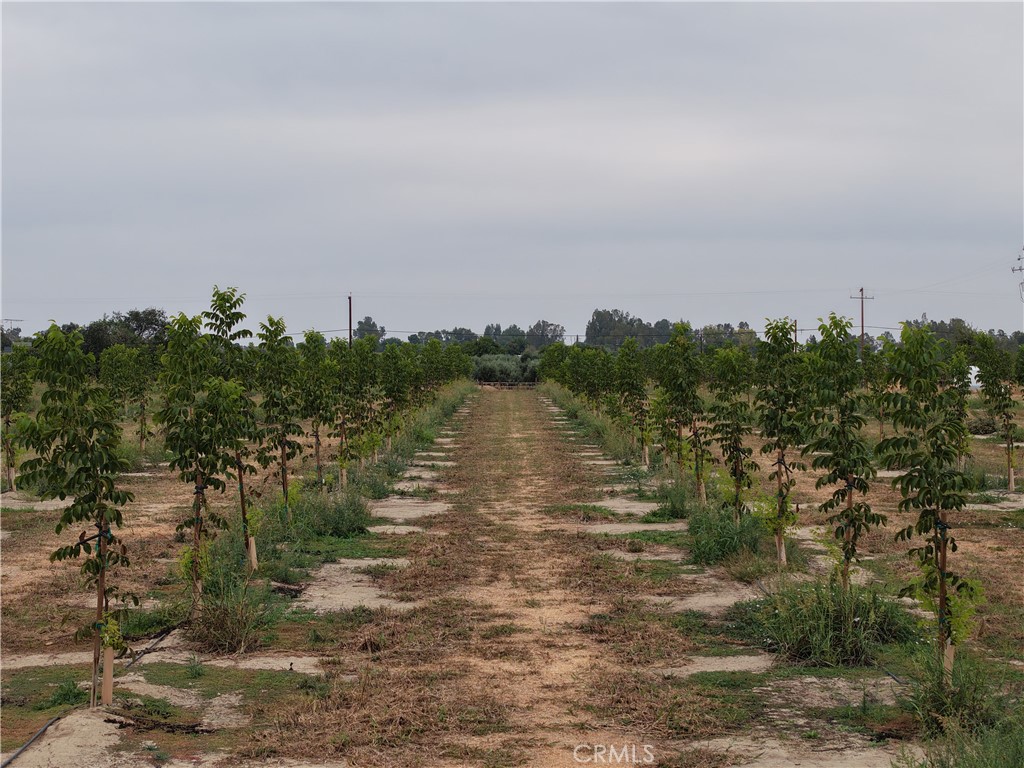 0 Loleta Corning, CA 96021 - Photo 5 of 6