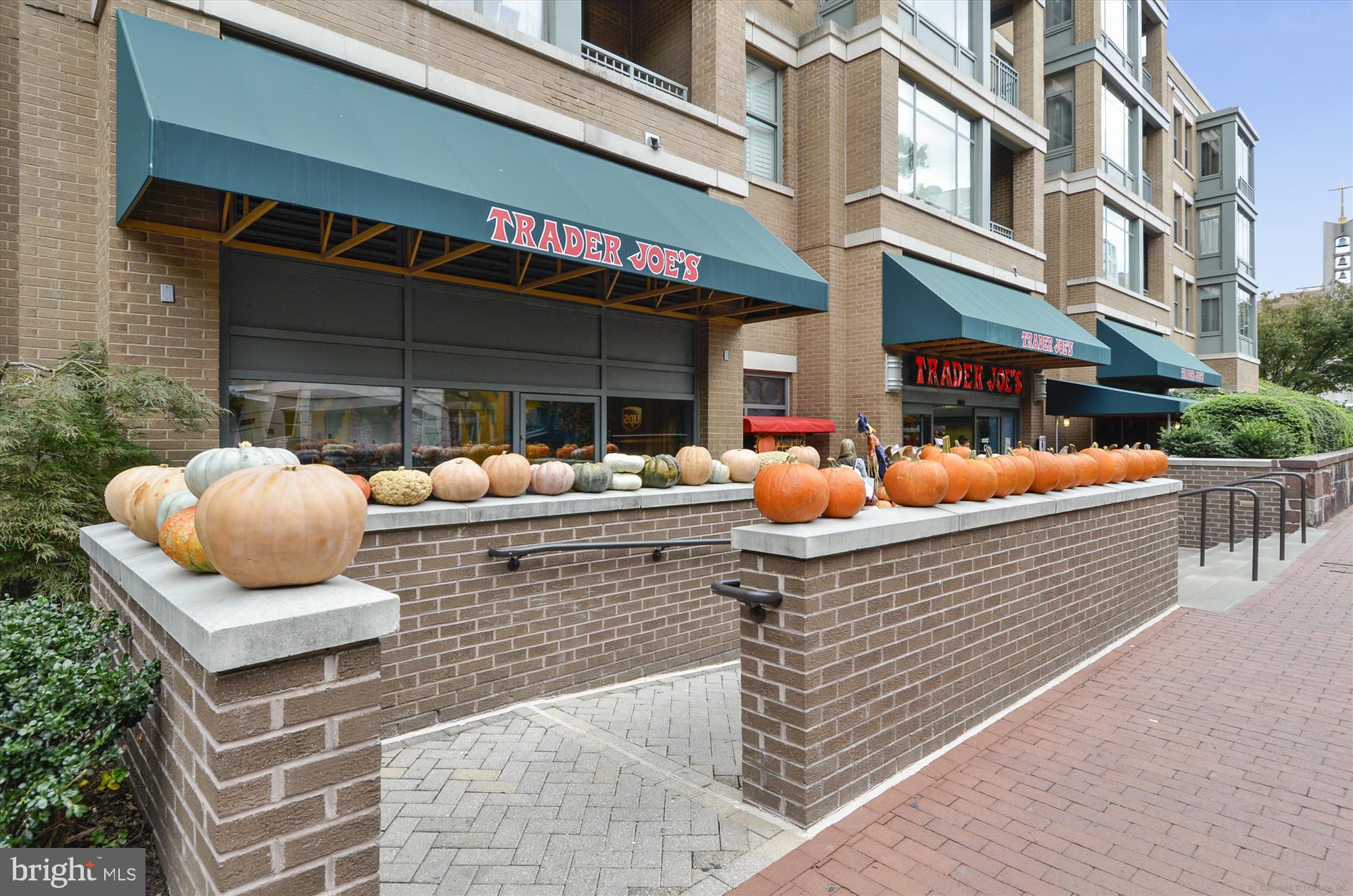 730 24th Street Northwest, Unit 412 Washington, DC 20037 - Photo 37 of 40 Trader Joe's