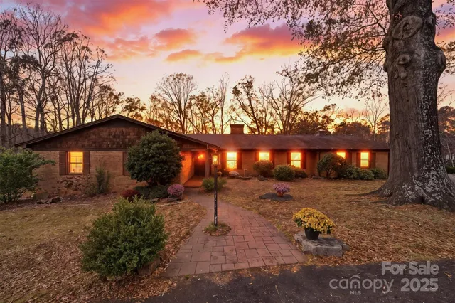 a view of a large yard with plants and trees