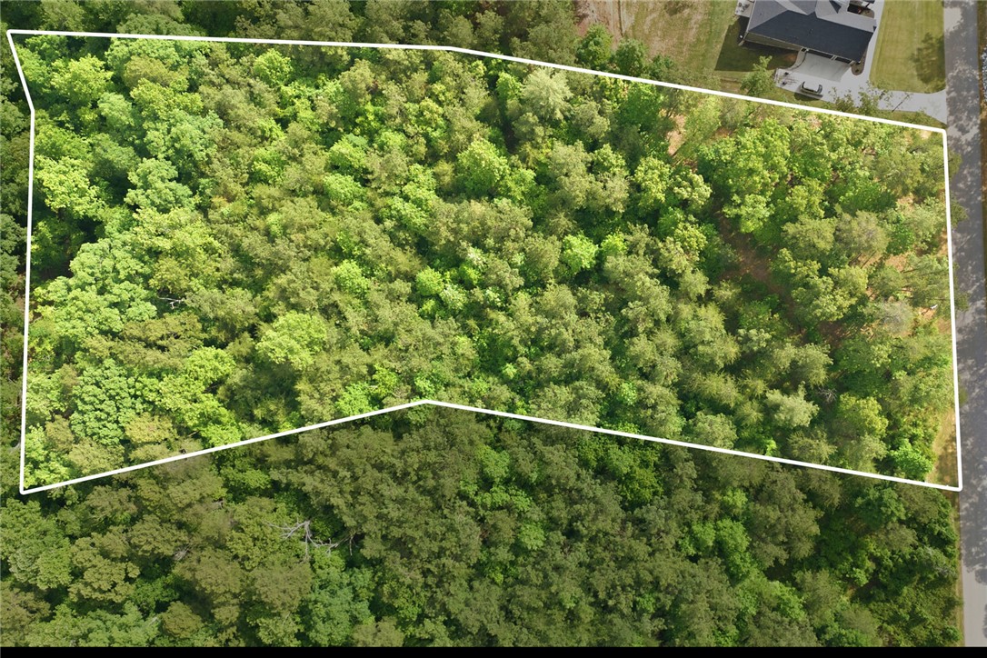Lot 108 Harbor Ridge Road Seneca, SC 29672 - Photo 7 of 13 An overhead perspective highlights the dense, verdant trees of this expansive lot.