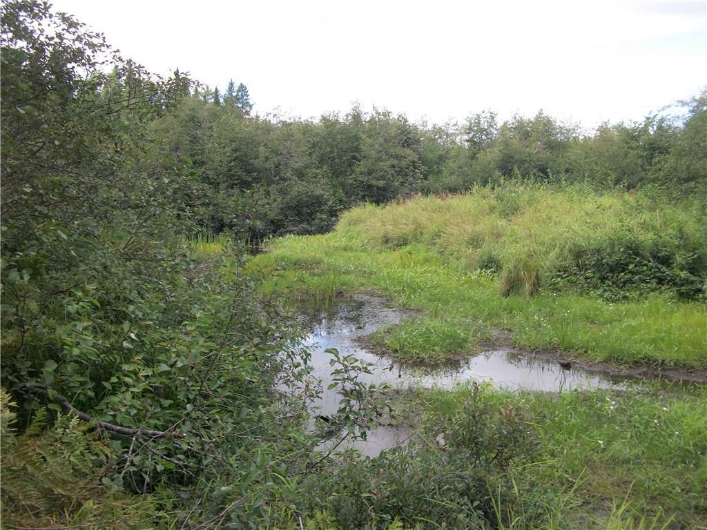168 Winn Road Lee, ME 04455 - Photo 12 of 13 Stream