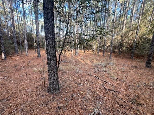 25-ac Smyrna Road Florala, AL 36442 - Photo 24 of 36 Gallery Image 24