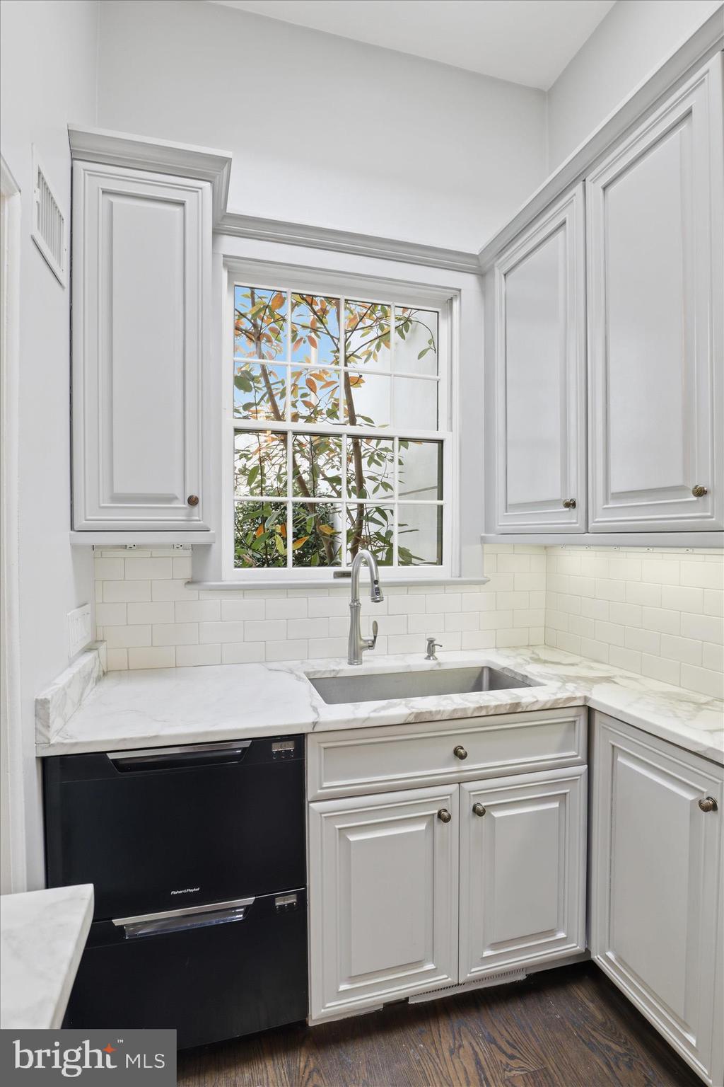 3011 Dumbarton Street Northwest Washington, DC 20007 - Photo 17 of 49 Fisher & Parker dishwasher