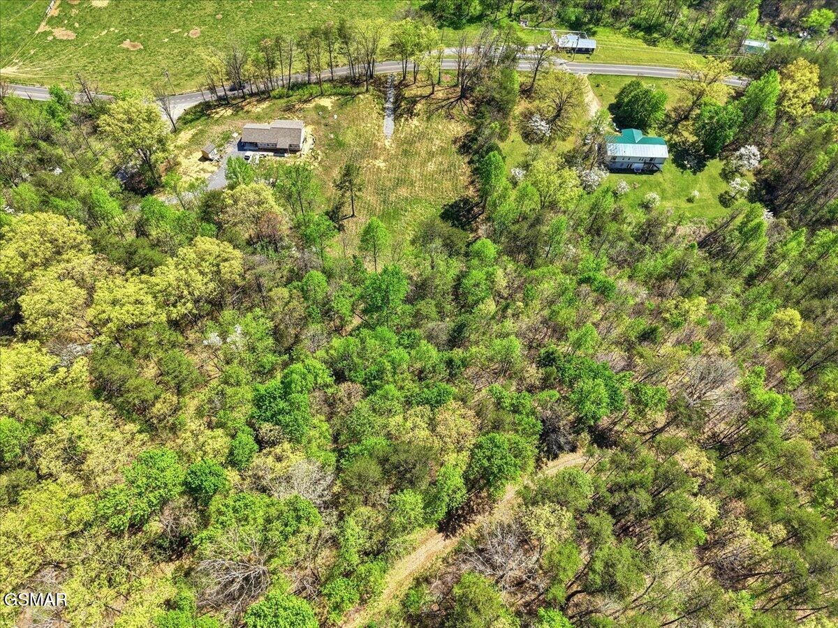0 Dark Hollow Road Cosby, TN 37722 - Photo 7 of 17 Gallery Image 7
