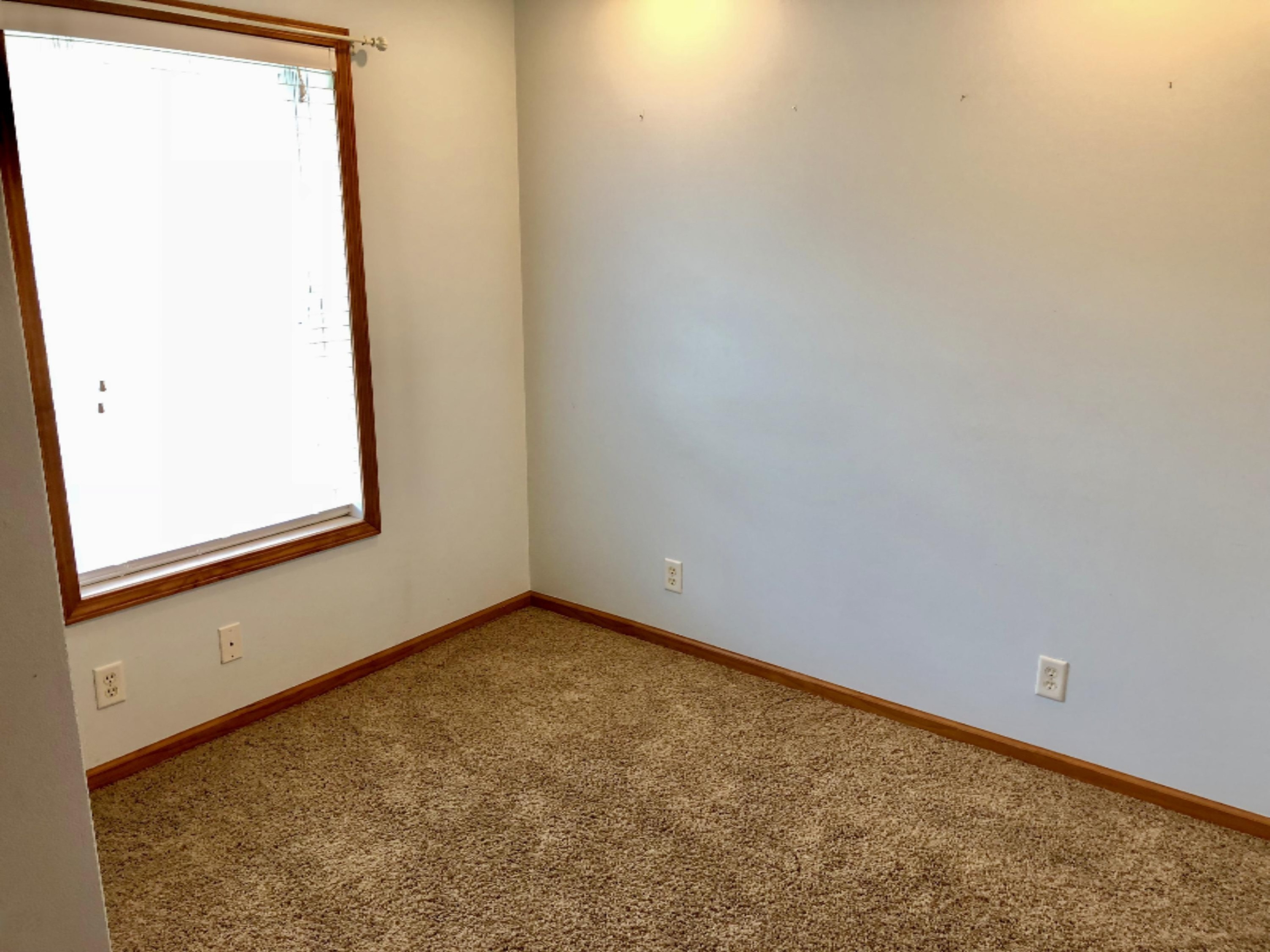 5969 Sayles Road Saranac, MI 48881 - Photo 23 of 42 fullsizeoutput_1f