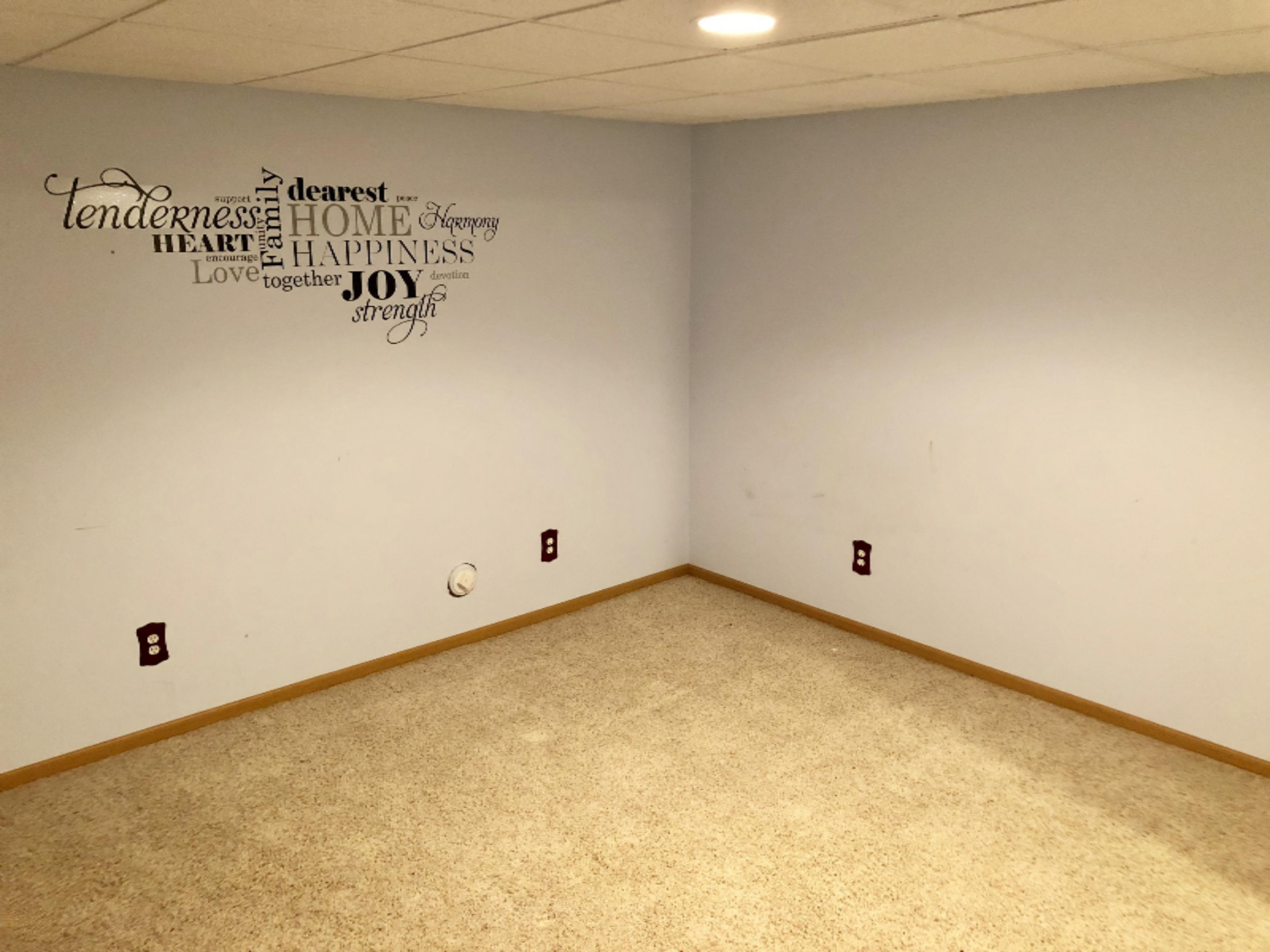 5969 Sayles Road Saranac, MI 48881 - Photo 33 of 42 fullsizeoutput_2f