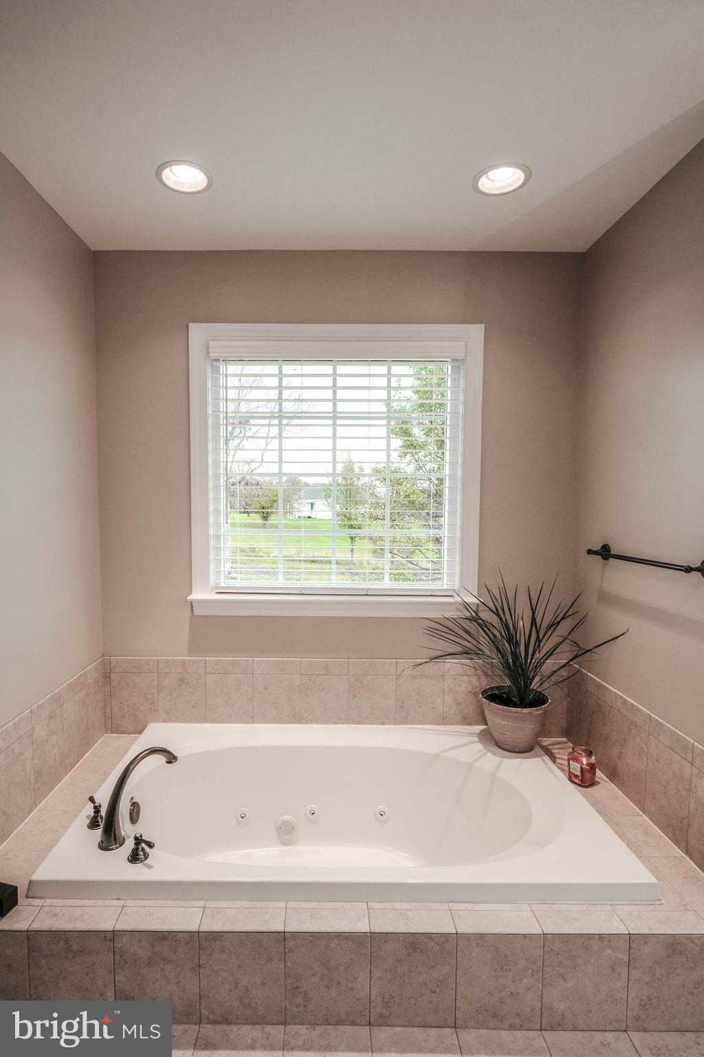 3405 Apple Pie Ridge Road Winchester, VA 22603 - Photo 33 of 59 Jetted Tub Primary Bathroom