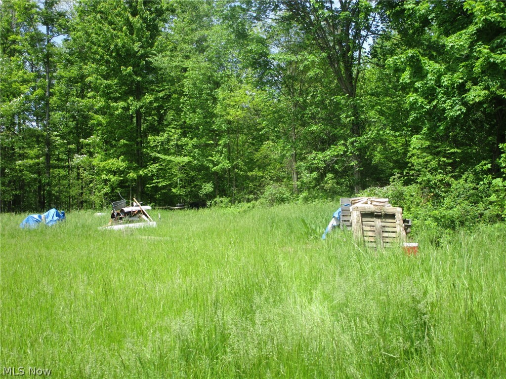 Vl Doyle Road Jefferson, OH 44047 - Photo 6 of 42