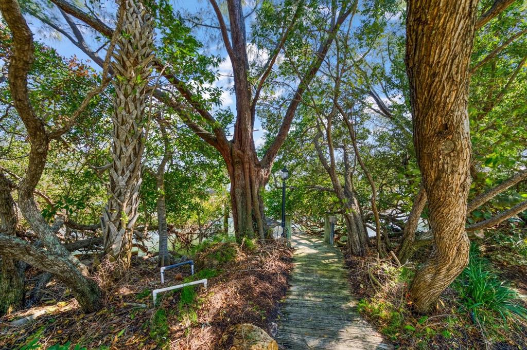 1198 Mandalay Point Road Clearwater, FL 33767 - Photo 41 of 61 a backyard of a house with lots of trees