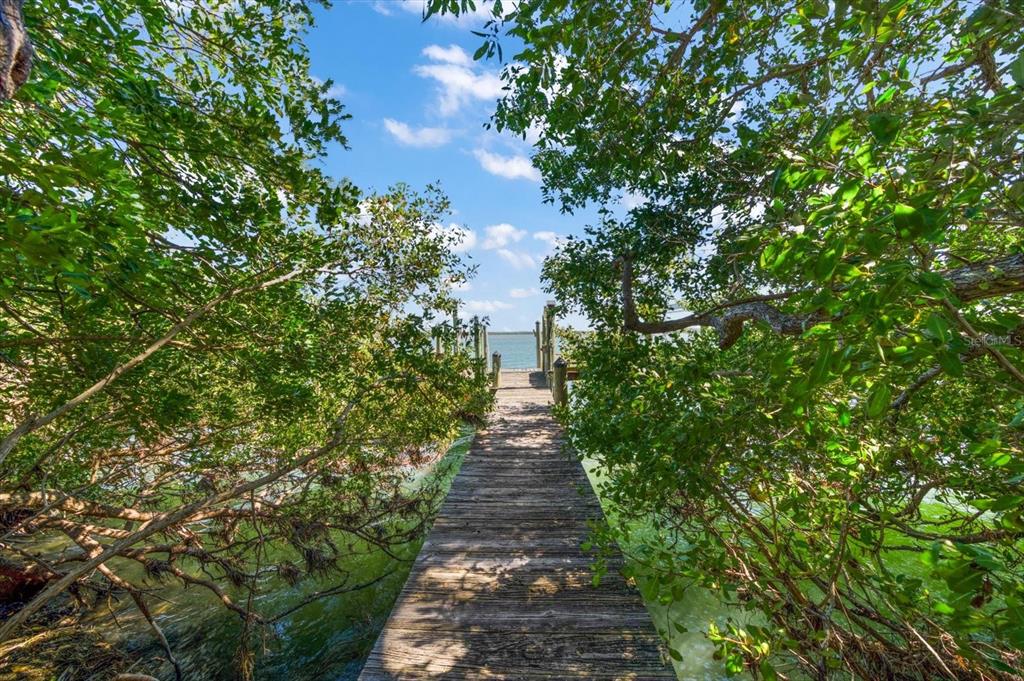 1198 Mandalay Point Road Clearwater, FL 33767 - Photo 42 of 61 a view of a pathway both side of yard