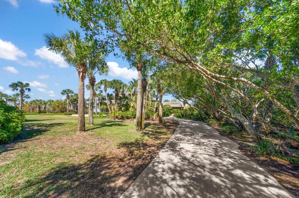 1198 Mandalay Point Road Clearwater, FL 33767 - Photo 51 of 61 a view of a yard with a tree