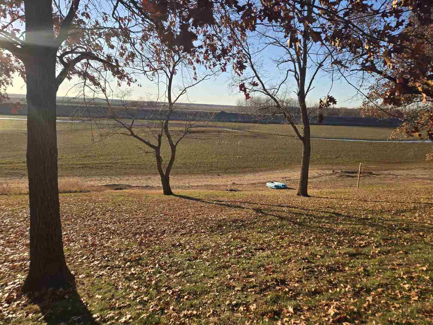 930 42nd Street New Boston, IL 61272 - Photo 15 of 22 a view of a yard with large trees