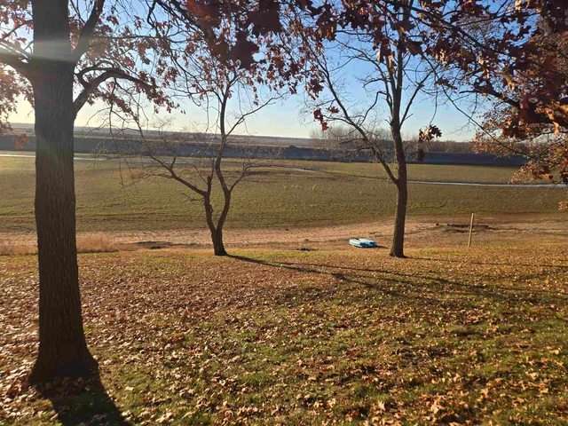 a view of a yard with large trees
