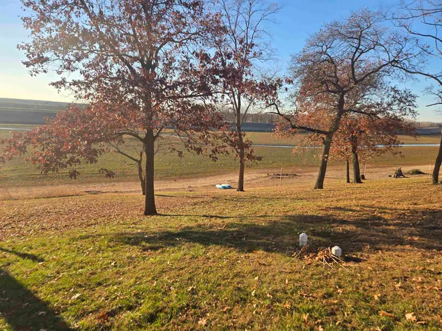 a view of a yard with an trees