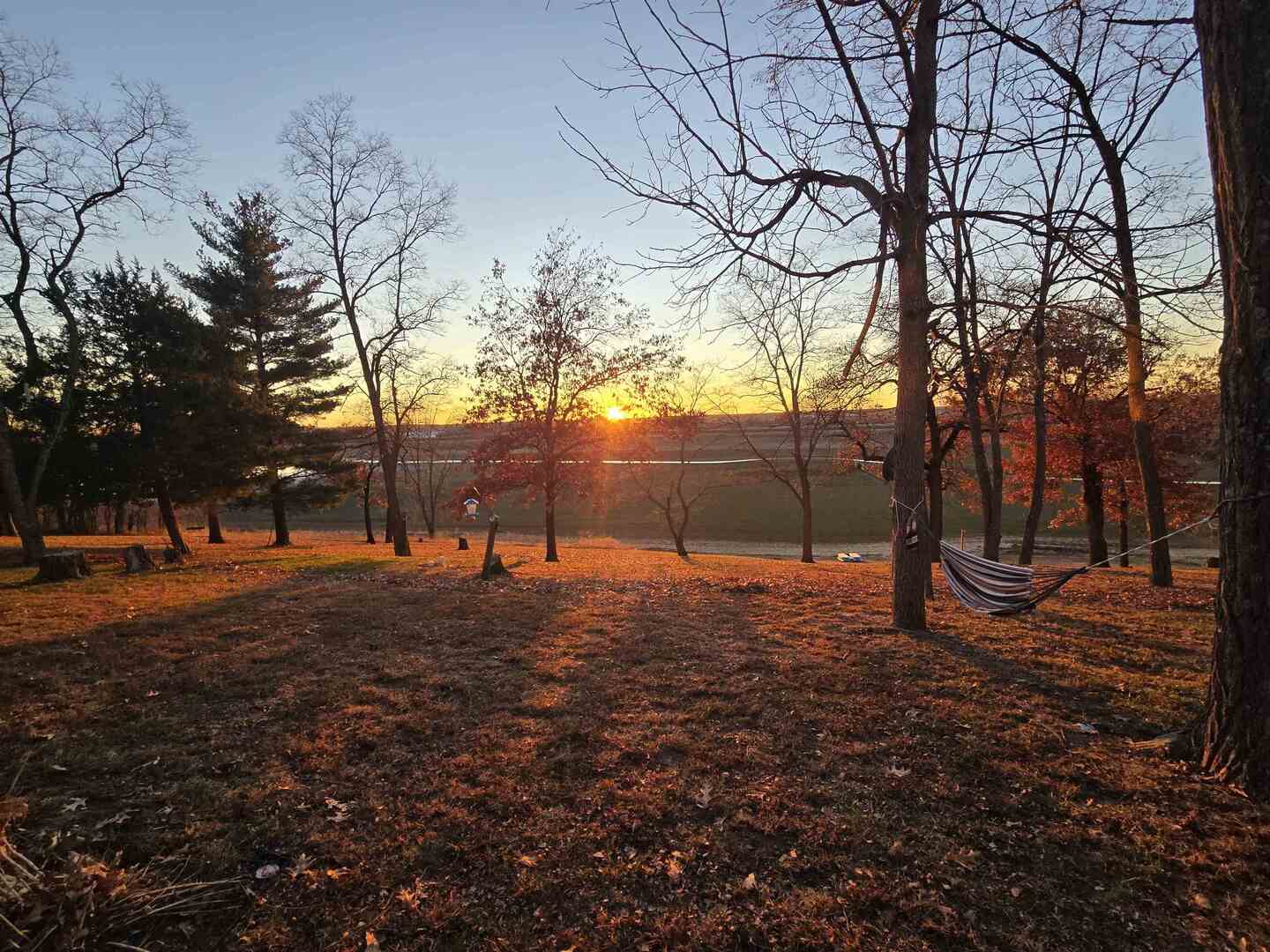 930 42nd Street New Boston, IL 61272 - Photo 19 of 22 a backyard of a house with lots of green space