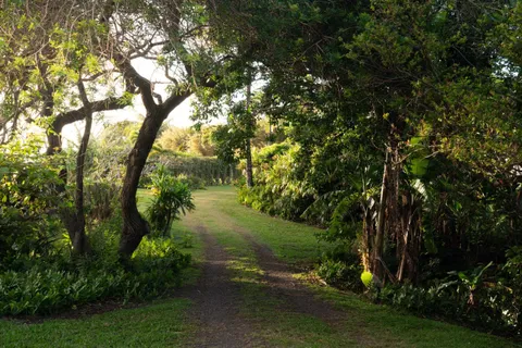 a view of a backyard of the house