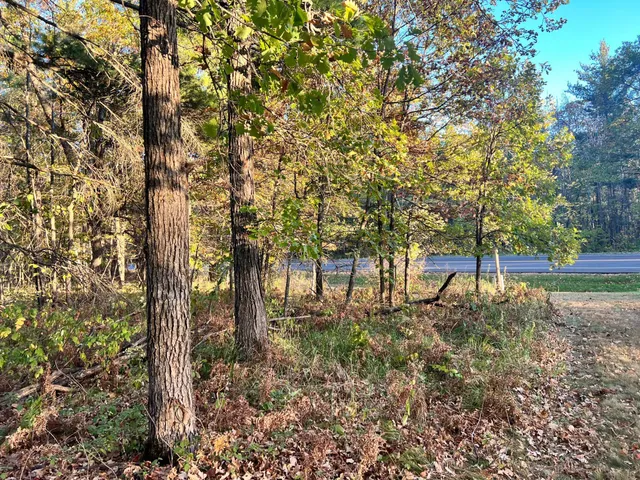 $34,900 | Tbd Steamboat Loop Northwest, Walker, MN 56484