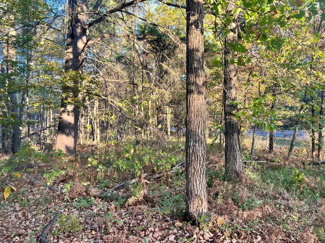 $34,900 | Tbd Steamboat Loop Northwest, Walker, MN 56484