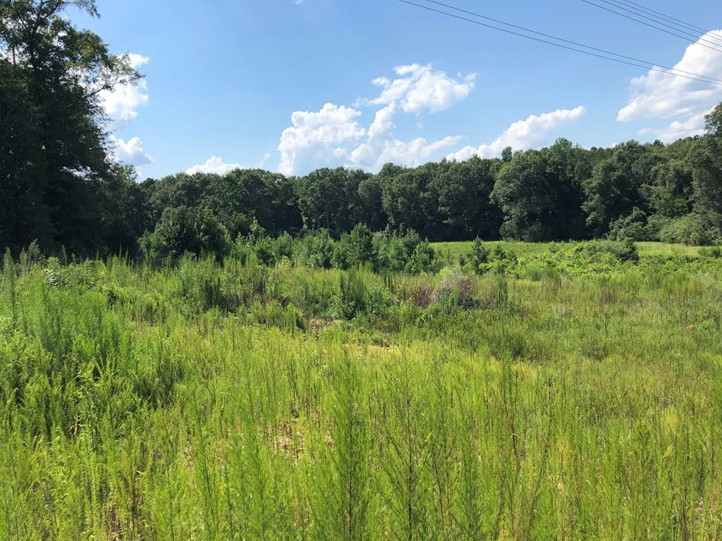 1108 Roy Deer Road Summit, MS 39666 - Photo 1 of 47 Main View