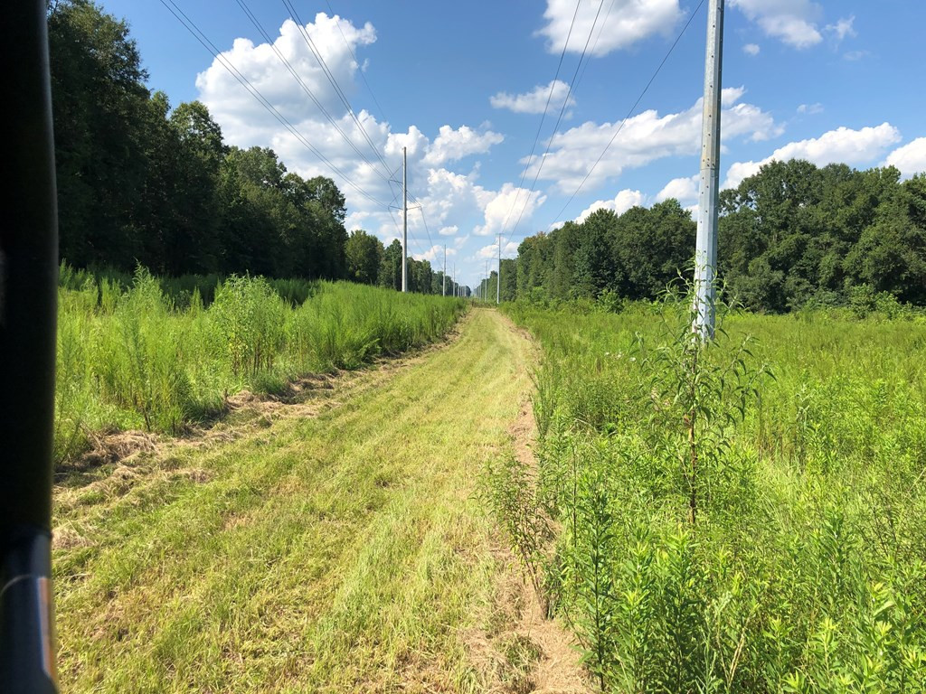 1108 Roy Deer Road Summit, MS 39666 - Photo 11 of 47 Photo 11