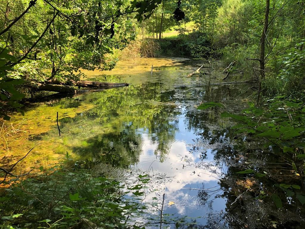 1108 Roy Deer Road Summit, MS 39666 - Photo 2 of 47 Photo 2