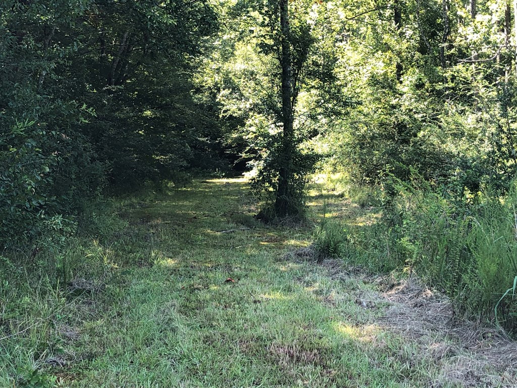 1108 Roy Deer Road Summit, MS 39666 - Photo 21 of 47 Photo 21