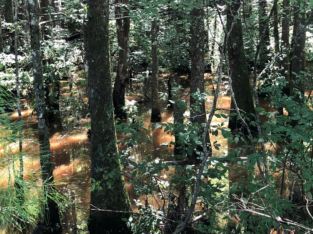 1108 Roy Deer Road Summit, MS 39666 - Photo 22 of 47 Photo 22