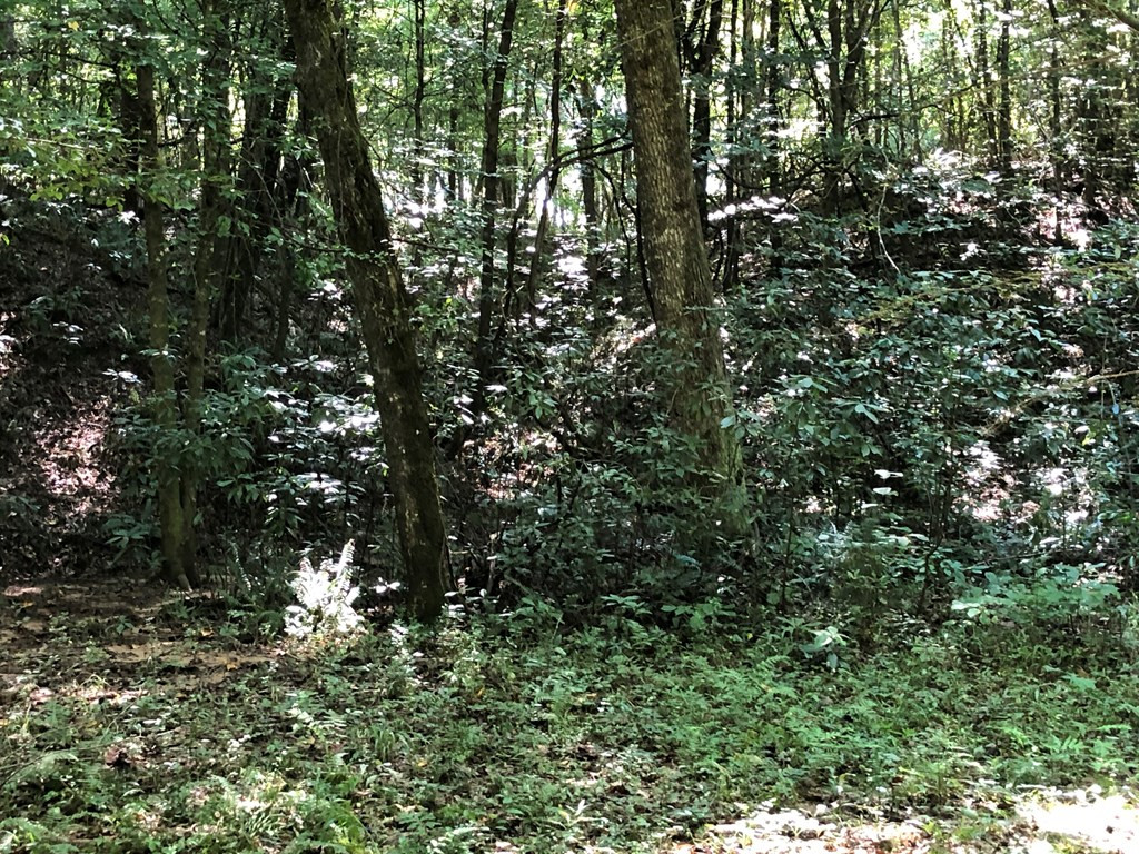 1108 Roy Deer Road Summit, MS 39666 - Photo 24 of 47 Photo 24