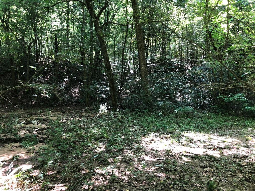 1108 Roy Deer Road Summit, MS 39666 - Photo 25 of 47 Photo 25