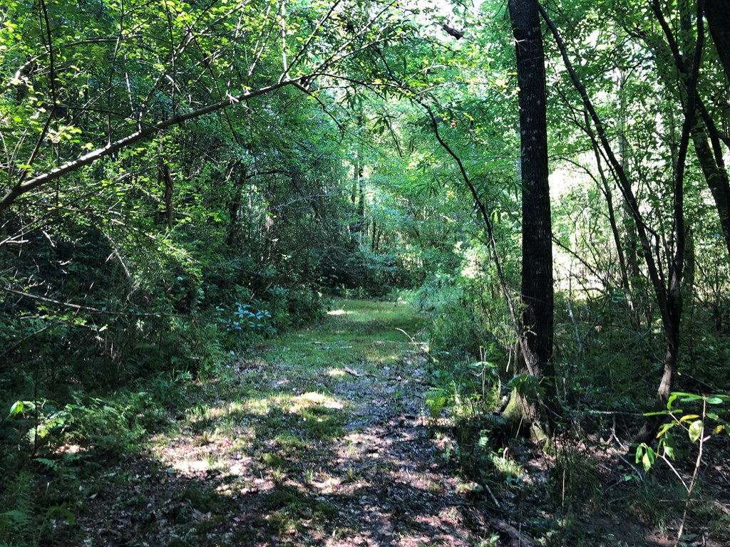 1108 Roy Deer Road Summit, MS 39666 - Photo 26 of 47 Photo 26
