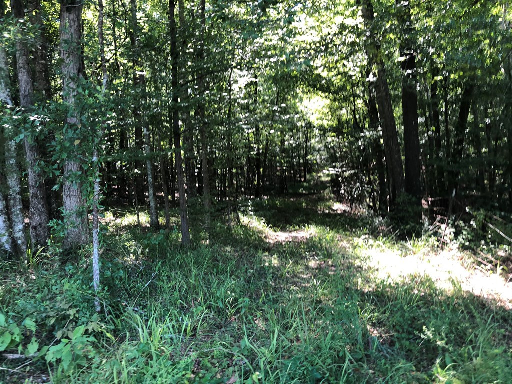 1108 Roy Deer Road Summit, MS 39666 - Photo 28 of 47 Photo 28