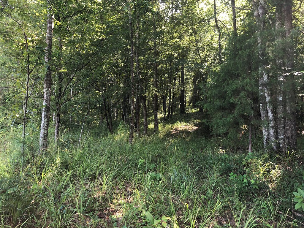 1108 Roy Deer Road Summit, MS 39666 - Photo 29 of 47 Photo 29