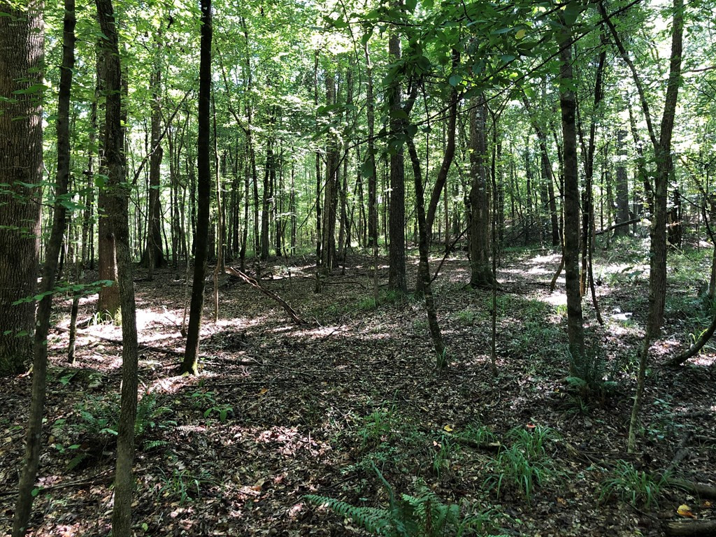 1108 Roy Deer Road Summit, MS 39666 - Photo 30 of 47 Photo 30