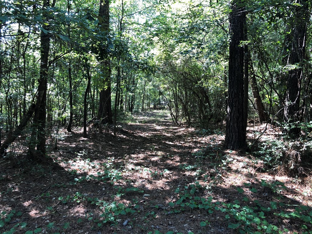 1108 Roy Deer Road Summit, MS 39666 - Photo 31 of 47 Photo 31