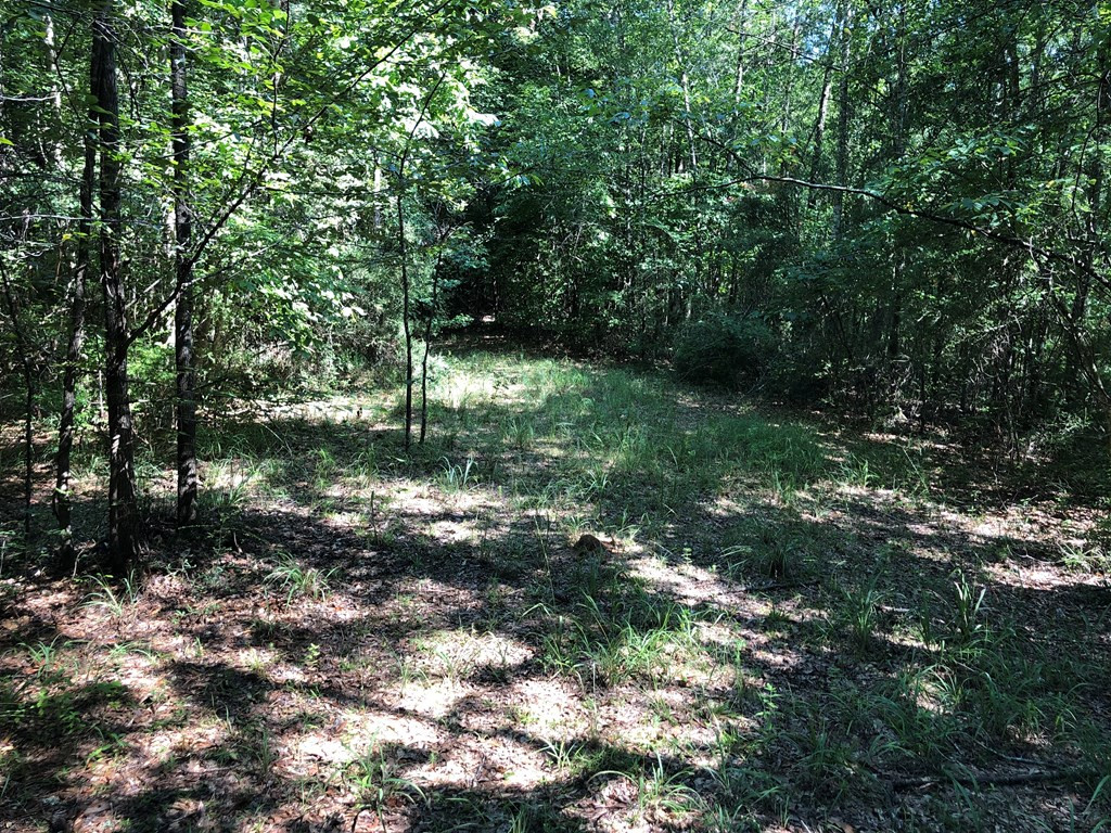1108 Roy Deer Road Summit, MS 39666 - Photo 32 of 47 Photo 32