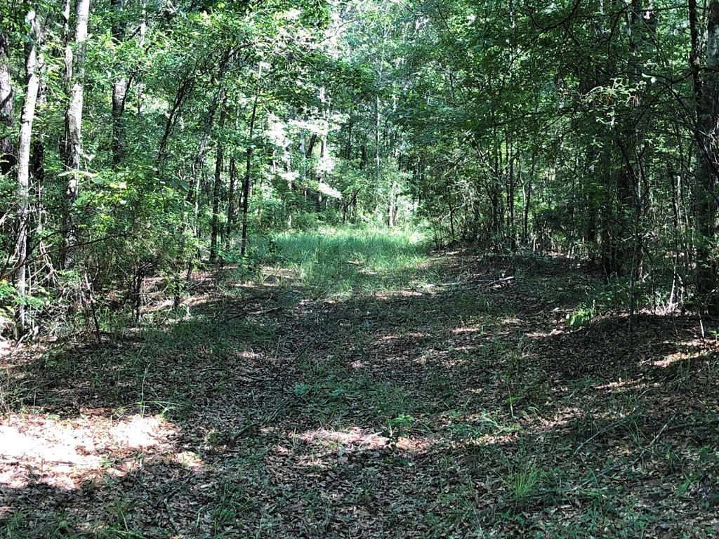 1108 Roy Deer Road Summit, MS 39666 - Photo 33 of 47 Photo 33