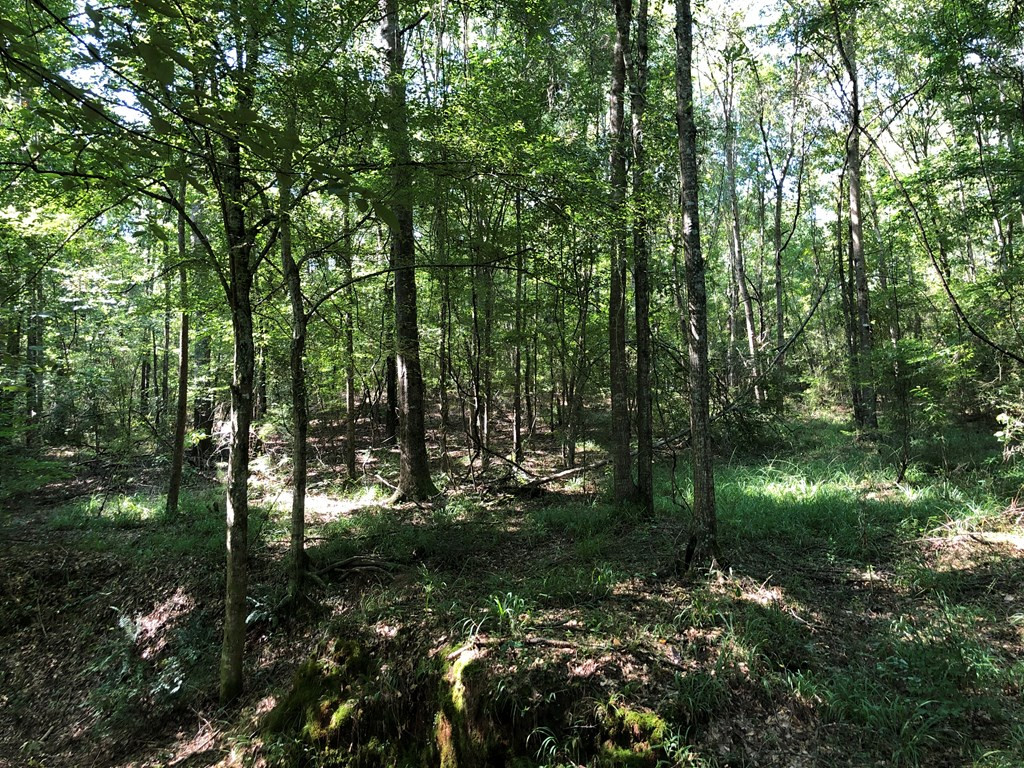 1108 Roy Deer Road Summit, MS 39666 - Photo 35 of 47 Photo 35